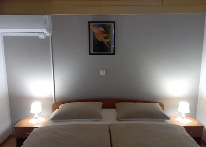 Apartmaji In Sobe Kocjancic