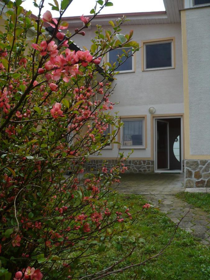 Apartmaji In Sobe Kocjancic Homestay